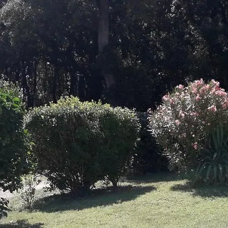 Citad' Yeu Apartment Port-Joinville